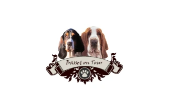 Jens Kampfhenkel IT Bearatung